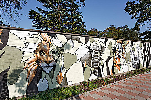 涂鸦,动物,墙壁,动物园,北莱茵威斯特伐利亚,德国,欧洲