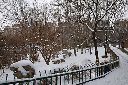 河北省石家庄市公园雪景