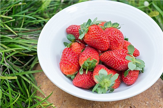 草莓,碗,花园,俯视