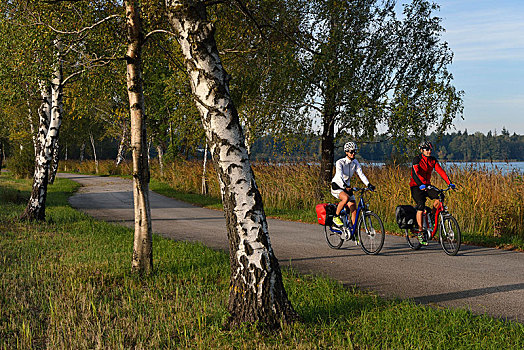 骑车,骑,电,自行车,自行车道,湖,萨尔茨堡,湖区,奥地利,欧洲