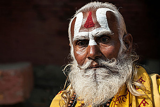 苦行僧,脸绘,胡须,头像,加德满都,尼泊尔,亚洲