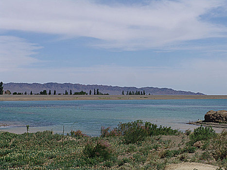 下马崖湿地