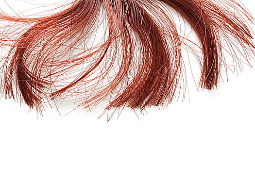 红色,毛发