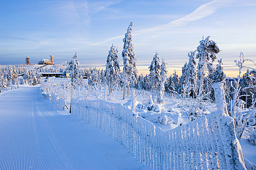 积雪,冷杉,黎明,酒店,背景,矿,山峦,萨克森,德国