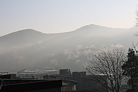 雾凇美景迷人,贵州,威宁,冰,凌,挂满树梢,冷空气,美景,迷人,雾凇,风光,冬季