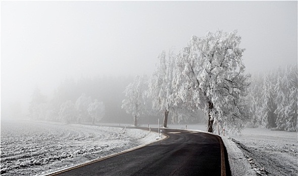冬天,道路,进入,雾