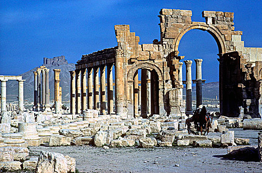 叙利亚,帕尔迈拉,遗迹,世界遗产,雄伟,拱形,阿拉伯,城堡,背影