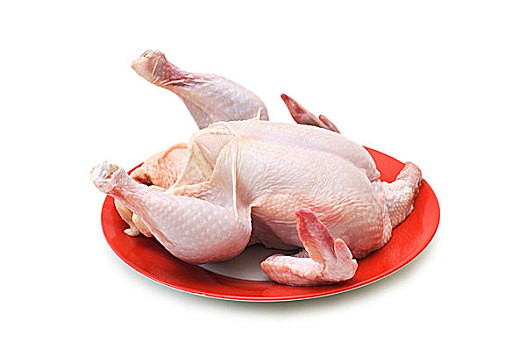 鸡肉,隔绝,白色背景
