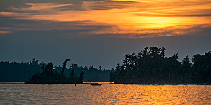 风景,树,湖岸,日落,湖,木头,安大略省,加拿大