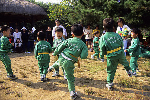 亚洲,韩国,靠近,首尔,韩国村庄,学童