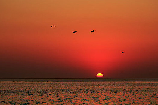 日落鲸湾