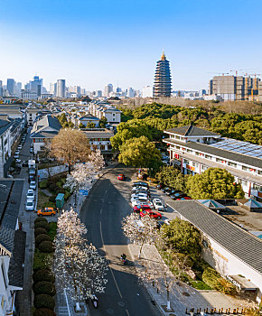 航拍江苏省常州天宁区红梅公园与天宁寺