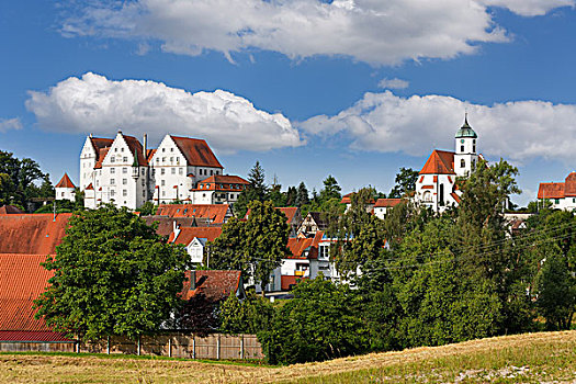 城堡,圣尼古拉斯,教区教堂,斯瓦比亚,巴登符腾堡,德国,欧洲