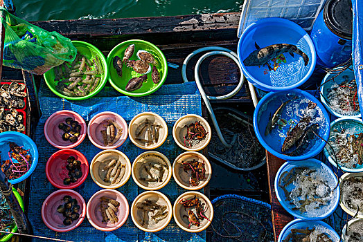 越南广宁鸿基市下龙湾海上推销海鲜小商船