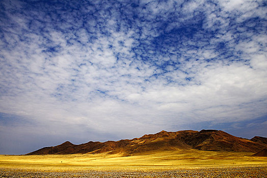 沙丘,风景,小路,纳米比沙漠,自然保护区,公园,纳米比亚,非洲