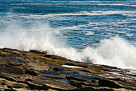 海浪,石头,州立公园,缅因,美国