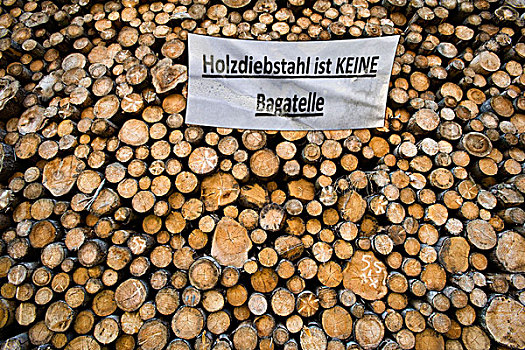木堆,标签,德国,木料,盗窃,问题,哈尔茨山,萨克森安哈尔特,欧洲