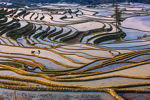 全福,梯田