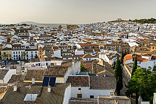 风景,老城,安提奎尔,省,马拉加,安达卢西亚,西班牙,欧洲