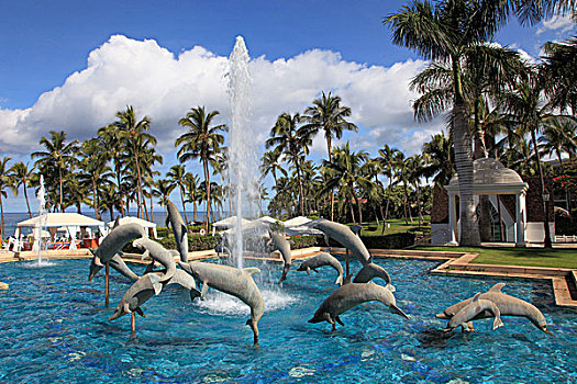 夏威夷,毛伊岛,胜地,喷泉