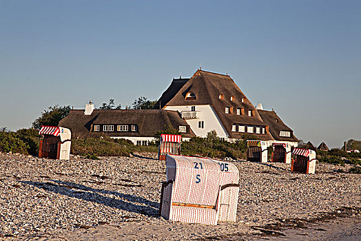 海滩,波罗的海,石勒苏益格,黑白花牛,德国北部,德国