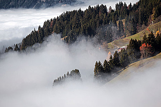 雾,高处,山谷,巴特辛德朗,巴伐利亚,德国,欧洲