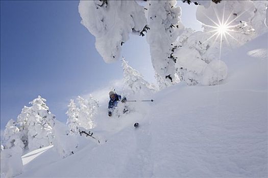 屈膝旋转式滑雪,福良野,北海道,日本