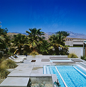 俯视,游泳池,晴朗,水泥,平台,围绕,棕榈树,荒芜,风景