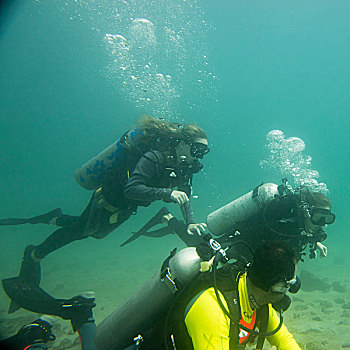 水下视角,潜水,伊斯塔帕,墨西哥