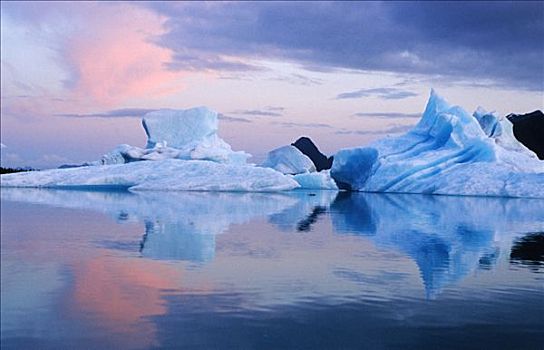 冰山,漂浮,泻湖,奇奈峡湾国家公园,肯奈半岛,阿拉斯加,夏天