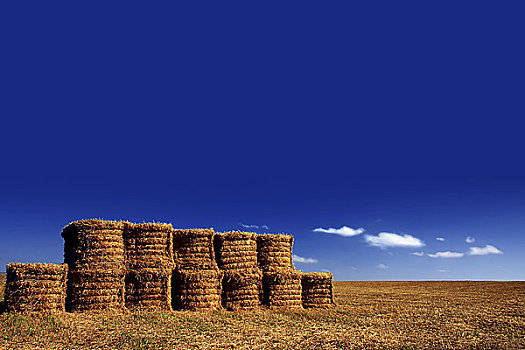英格兰,北约克郡,蓝天,上方,一堆,干草包,收获,地点