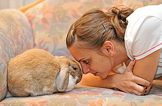 女孩,搂抱,欧洲,迷你兔,兔豚鼠属,动物,喜爱