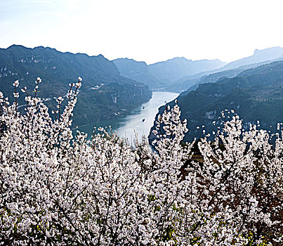 长江三峡西陵峡春天