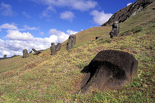 复活节岛,拉诺拉拉库,采石场,摩埃石像,山坡