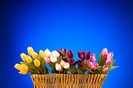花束,彩色,郁金香,桌子