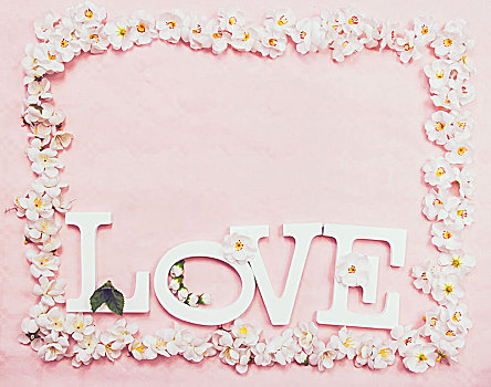 爱情,文字,花,粉色背景