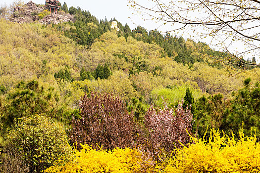 莒南风景区卧佛寺金佛