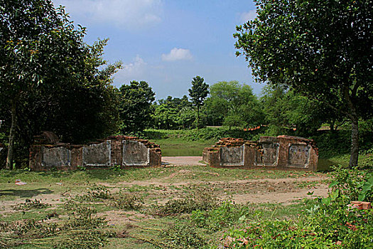 遗址,路,栈桥,水塘,乡村,孟加拉,降落,建造,八月,2007年