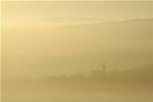 埃森纳赫,德国,图林根州,树林,晨雾