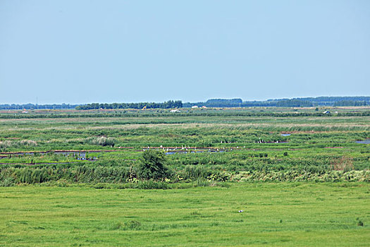 中国最美湿地,千鸟湖湿地