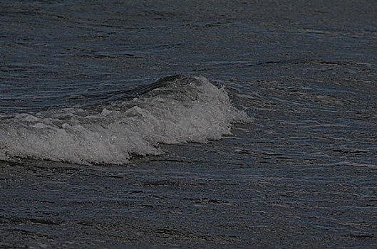 青海湖浪打浪