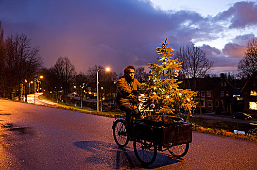 男人,装饰,圣诞树,三轮车