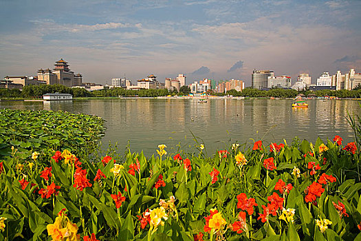 北京,莲花池公园