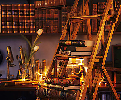 架子,老式,书本,梯凳