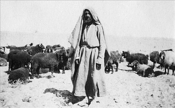阿拉伯,牧羊人,区域,伊拉克