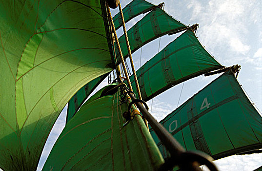 绿色,帆