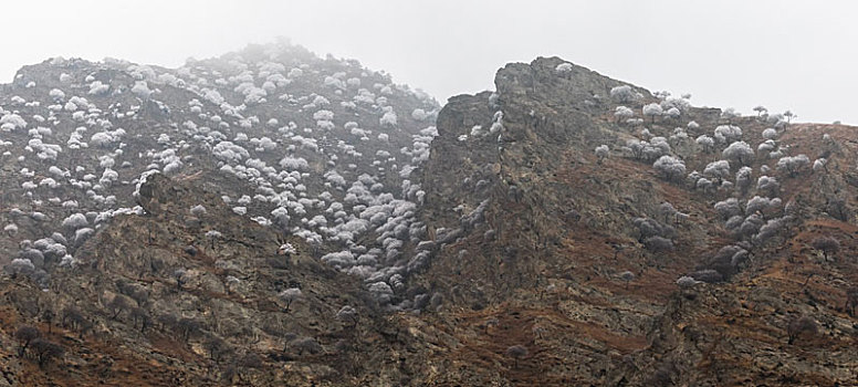 贺兰山晴雪