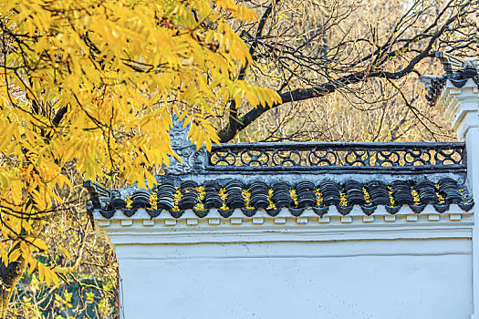 白墙黛瓦墙头秋色,拍摄于南京清凉山公园