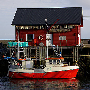 挪威,渔船