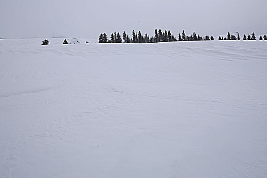 新疆伊犁赛里木湖冬日雪景